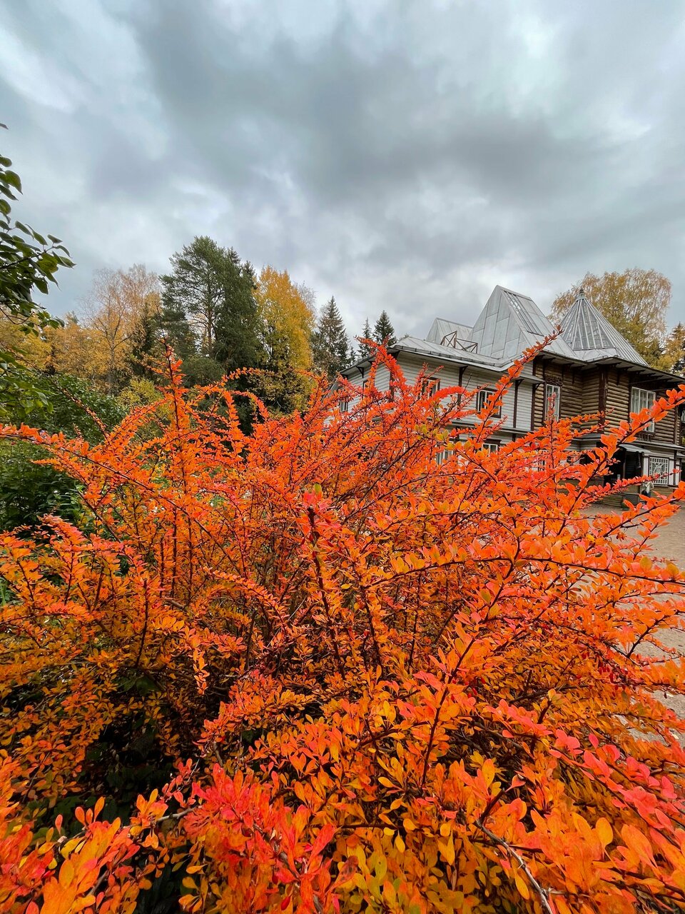 Гостиница Репинская Репино-28