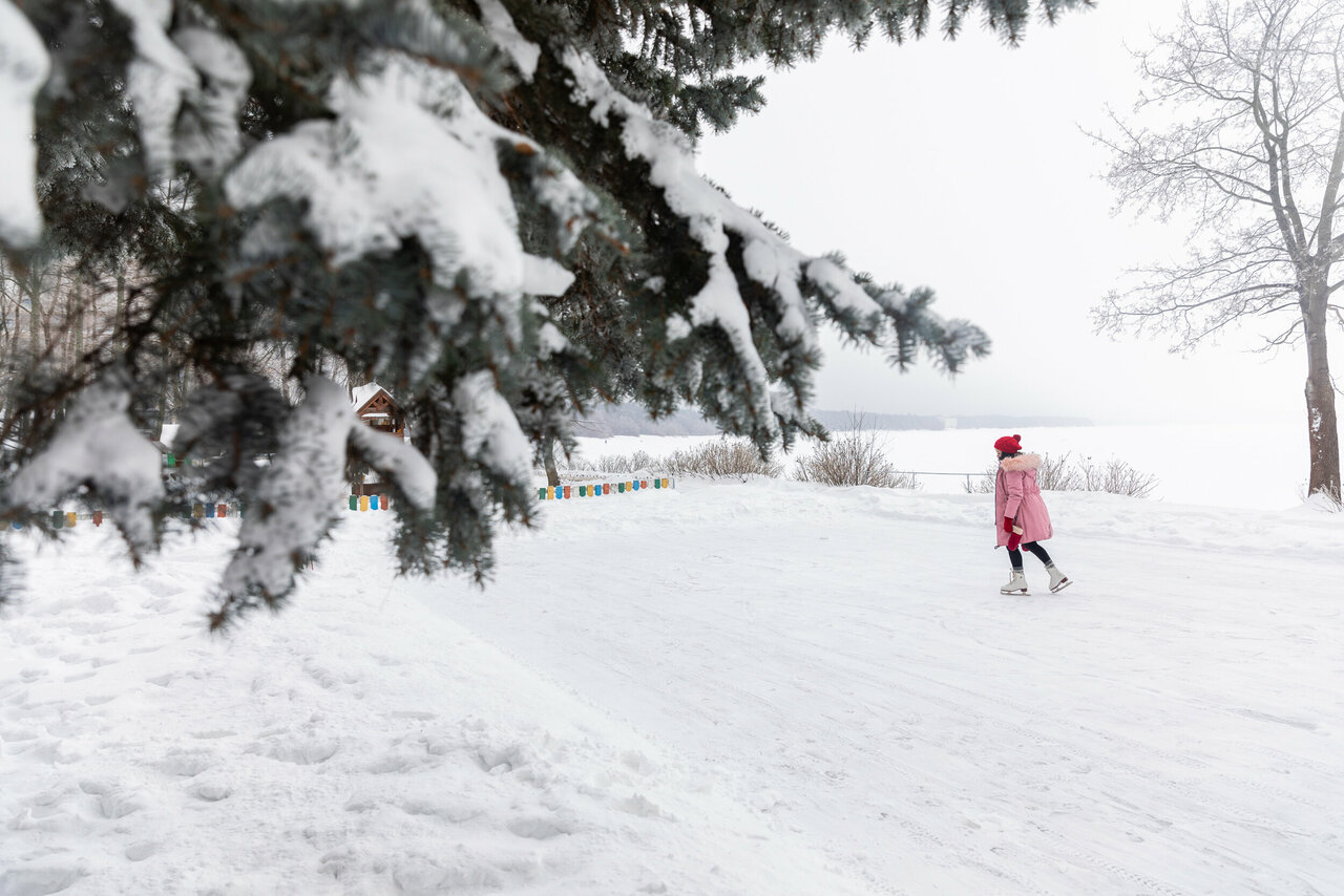 Гостиница Репинская Репино-147