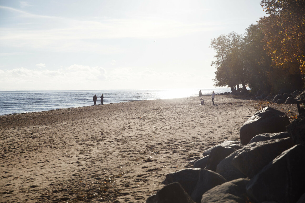 Гостиница Репинская Репино-252