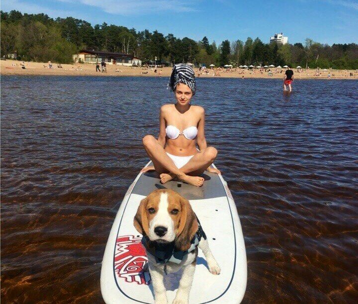 Гостиница Репинская Репино-54