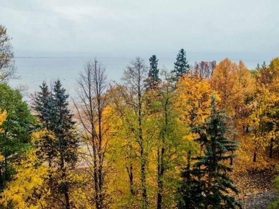 Гостиница Репинская Репино