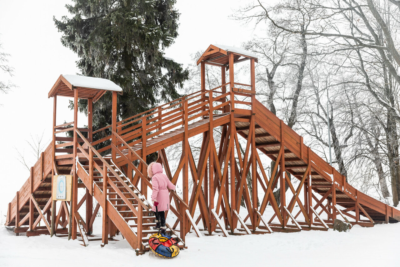 Гостиница Репинская Репино-93