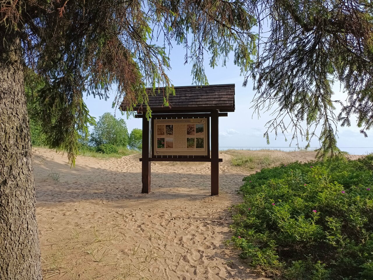 Гостиница Репинская Репино-29