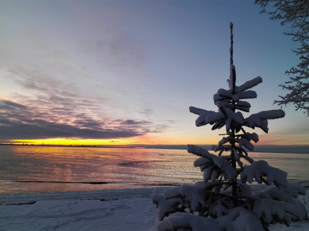 Гостиница Репинская Репино-24