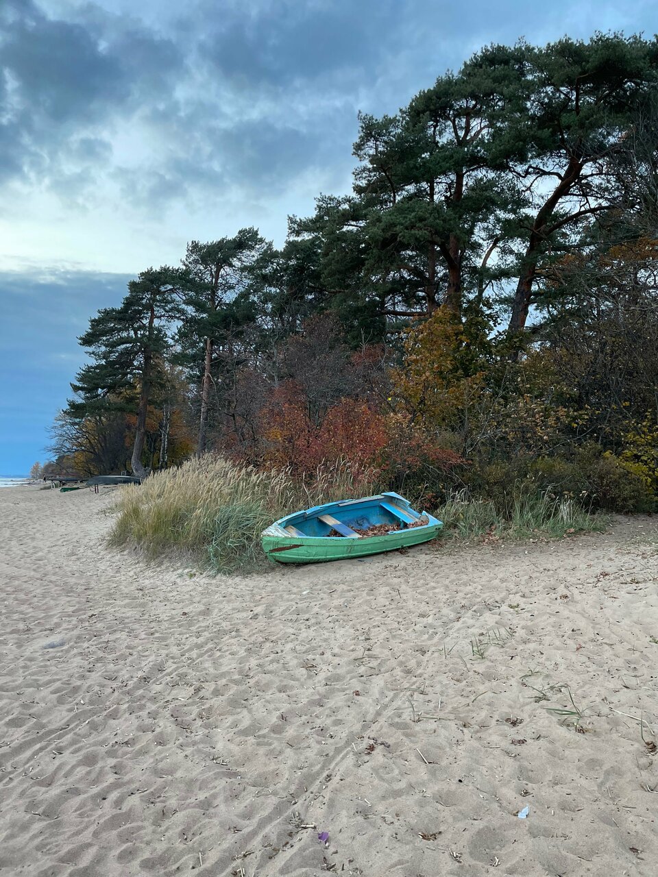 Гостиница Репинская Репино-40