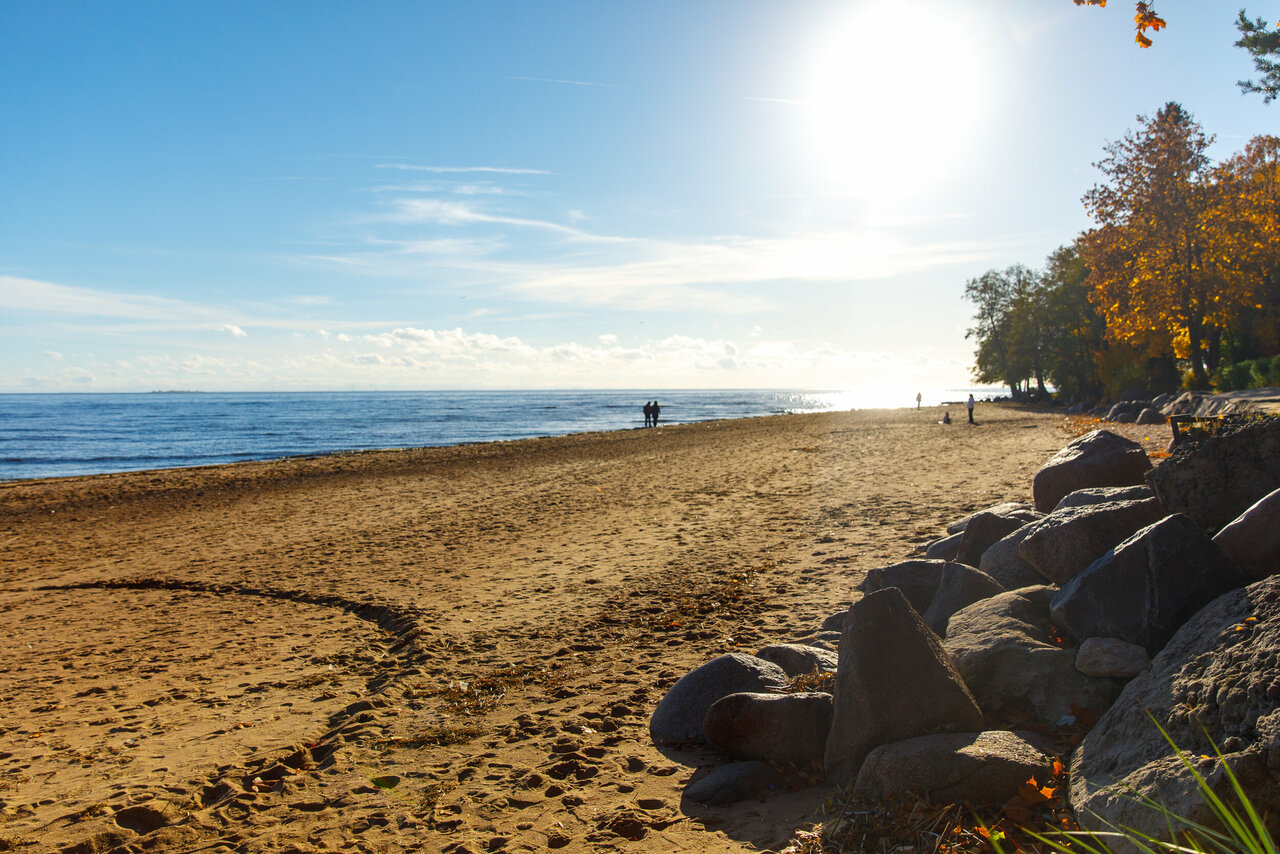 Гостиница Репинская Репино-174