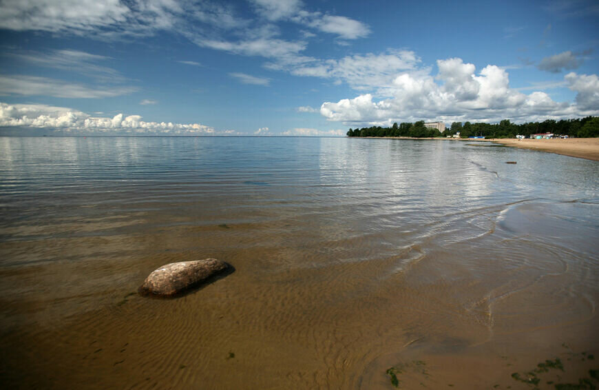 Гостиница Репинская Репино-83
