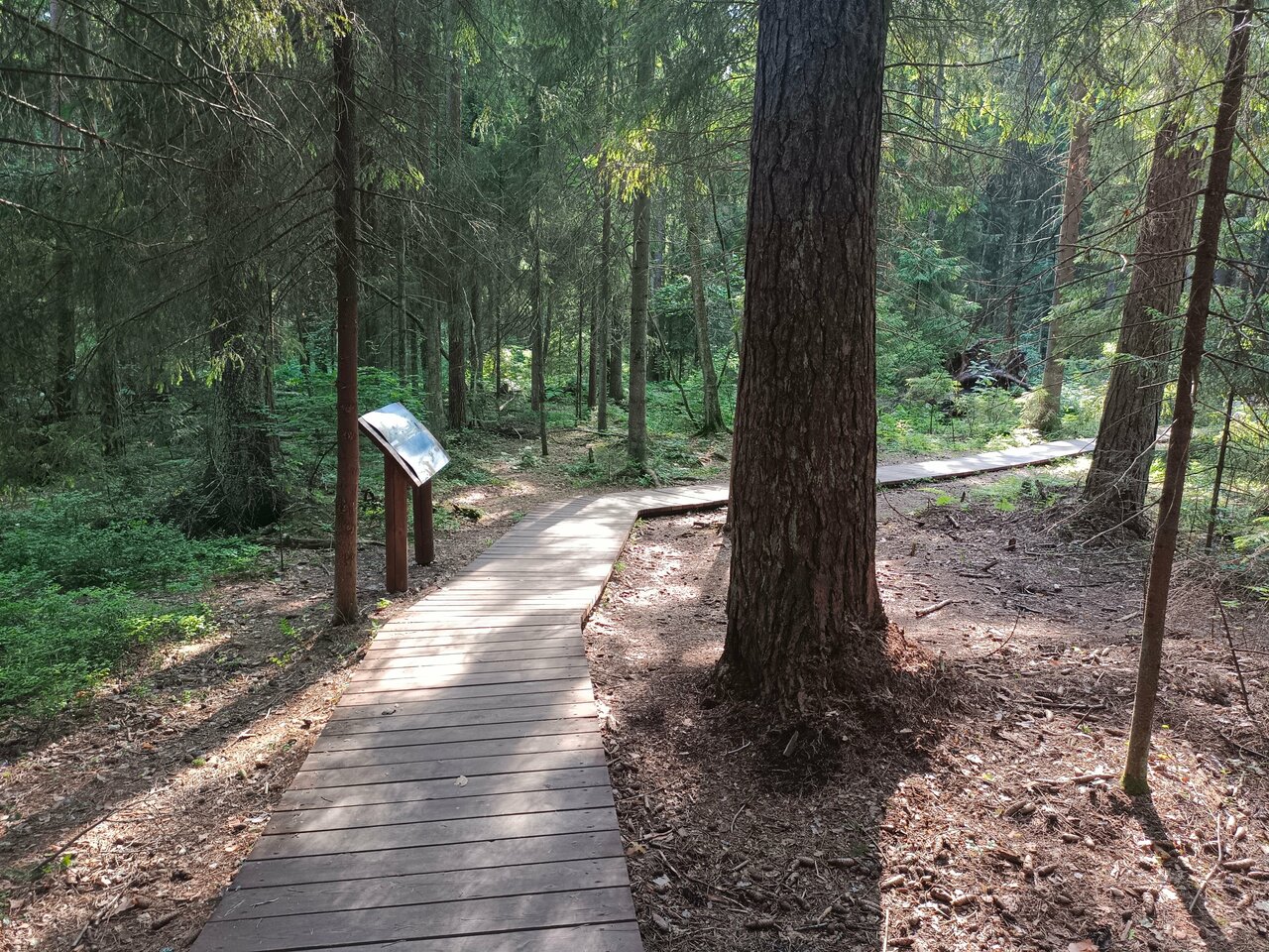 Гостиница Репинская Репино-162