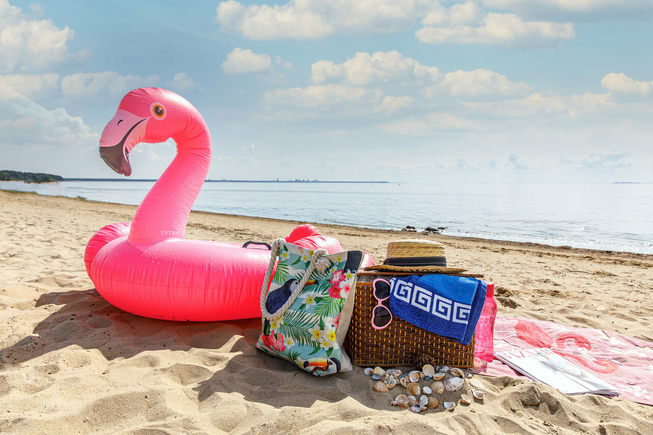 Гостиница Репинская Репино-38