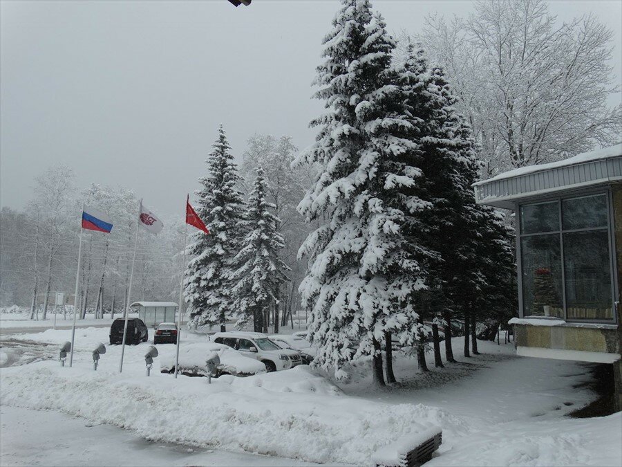 Гостиница Репинская Репино-20