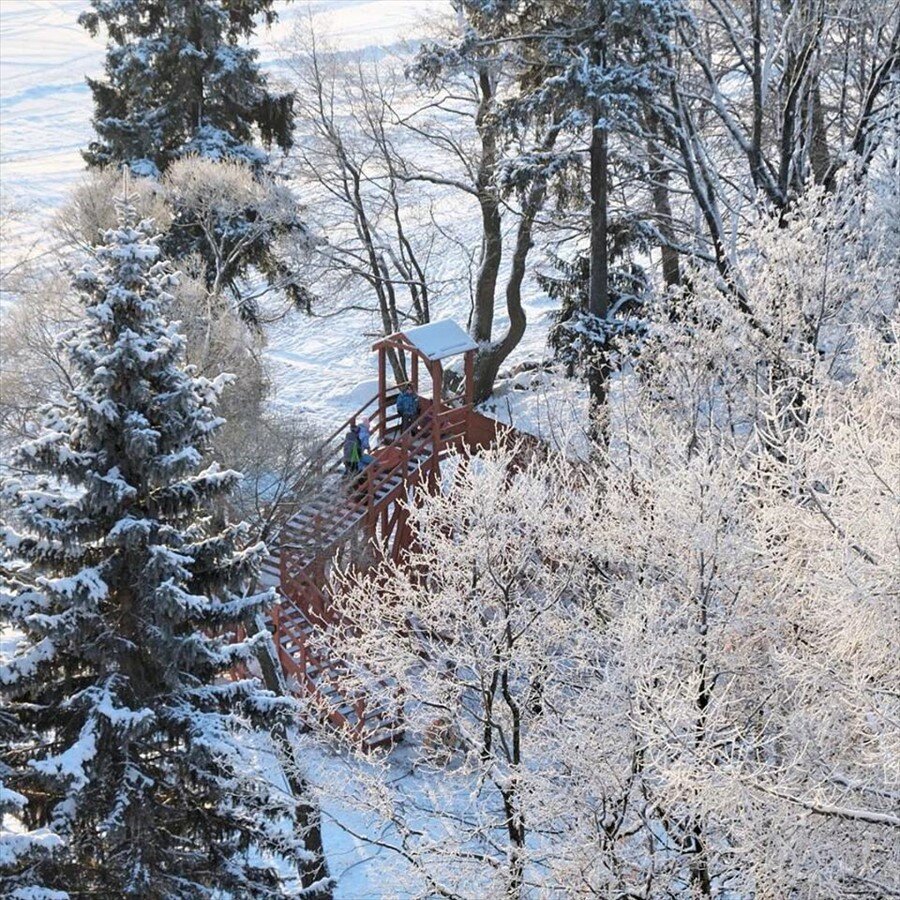 Гостиница Репинская Репино-22
