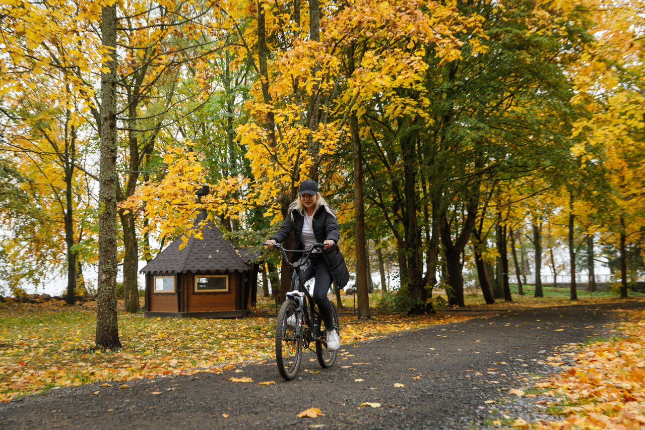 Гостиница Репинская Репино-51