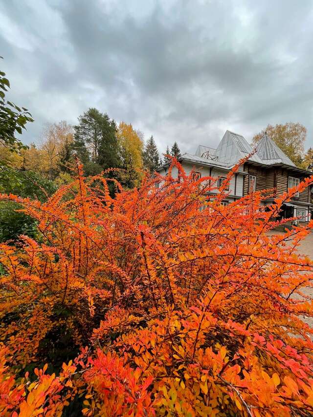 Гостиница Репинская Репино-27