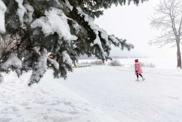 Гостиница Репинская Репино-146