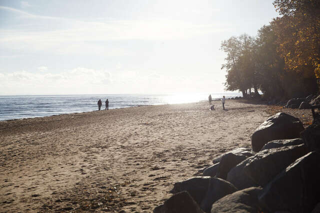 Гостиница Репинская Репино-251