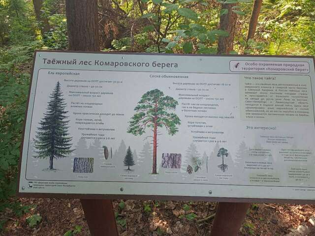 Гостиница Репинская Репино-51