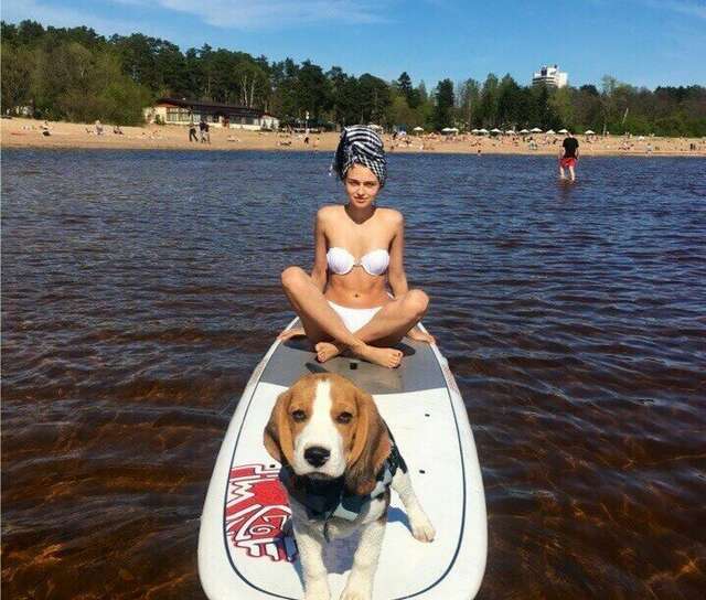 Гостиница Репинская Репино-53