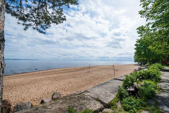 Гостиница Репинская Репино-241