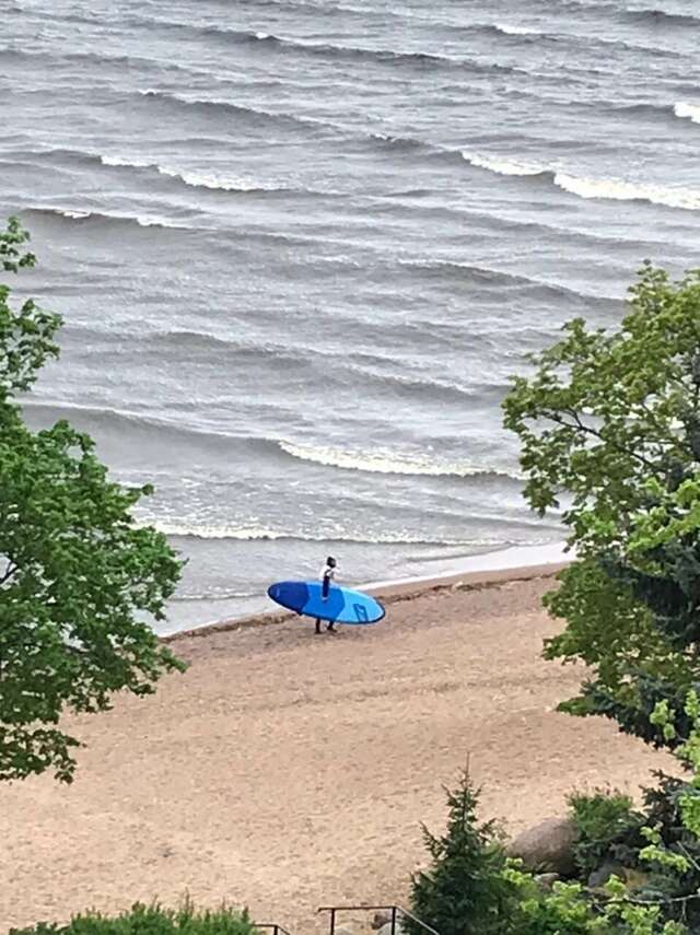 Гостиница Репинская Репино-81