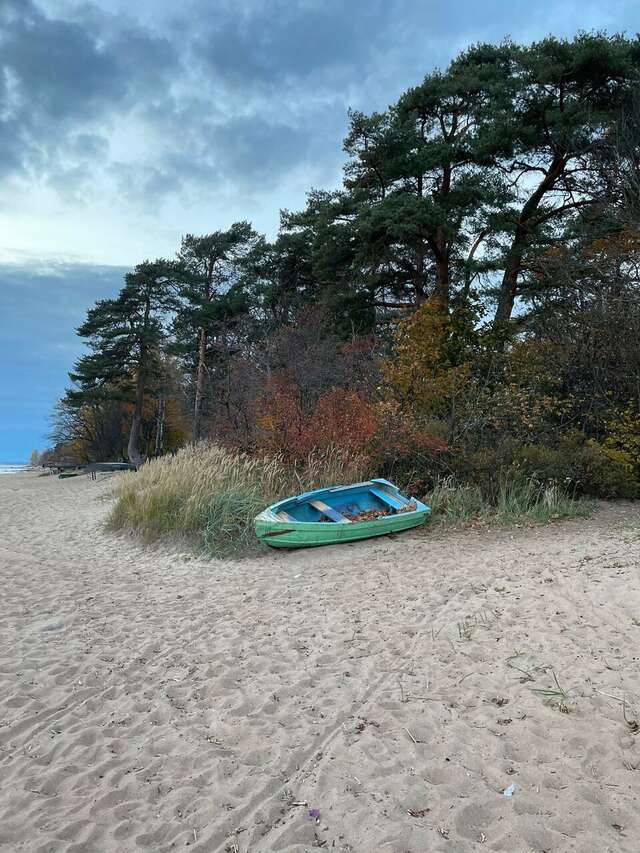 Гостиница Репинская Репино-39