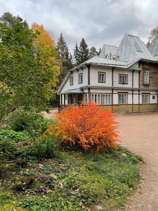 Гостиница Репинская Репино-70