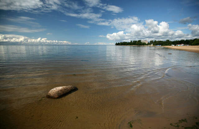 Гостиница Репинская Репино-82