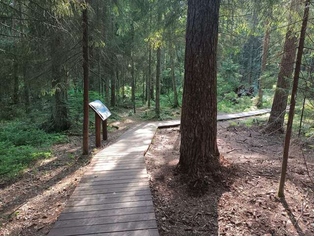 Гостиница Репинская Репино-161