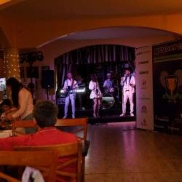 Гостиница Репинская Репино-85