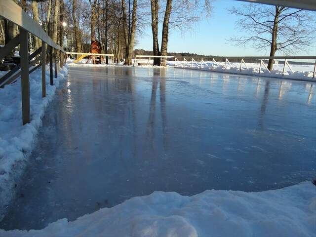 Гостиница Репинская Репино-20