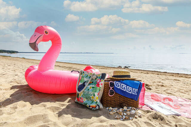 Гостиница Репинская Репино-37