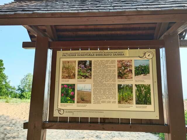 Гостиница Репинская Репино-94